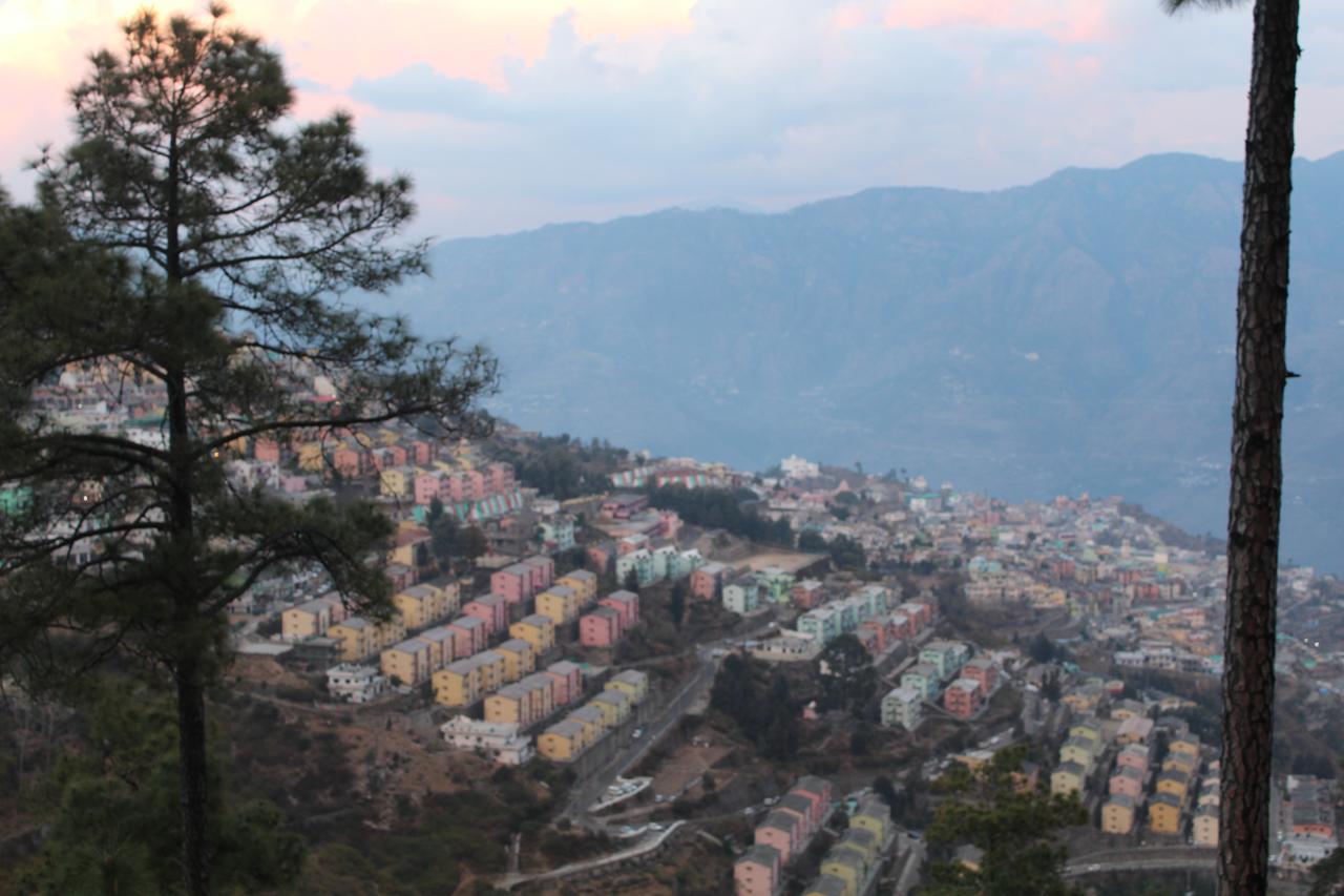 The Groove Garden Dhanolti Dhanaulti Exterior photo